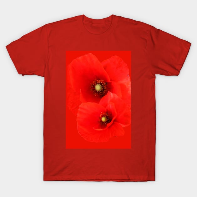 Two Red Poppies floral T-Shirt by oknoki